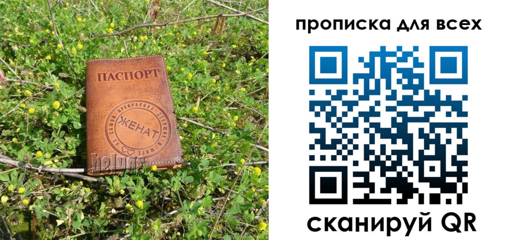 прописка поиск в Астраханской области
